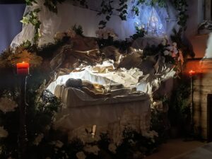 661590915_1254630826837868_4792909241237275528_n