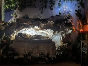 663113987_1254630696837881_2489509260085591902_n