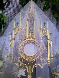 664741383_1254631030171181_89451102056247714_n