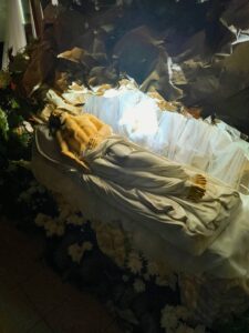 665524486_1254630560171228_6668797909078285069_n